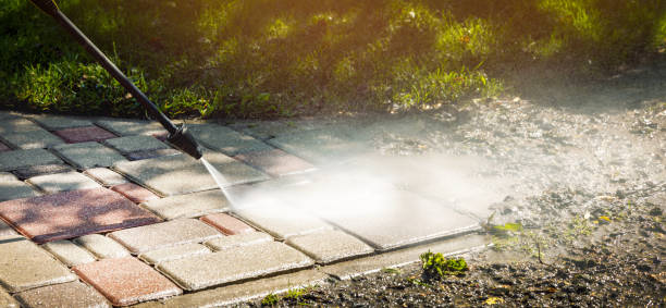Best Solar Panel Cleaning  in Fowler, CA